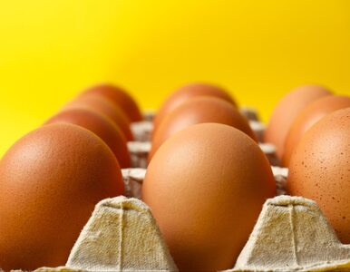Miniatura: Zafałszowane jajka trafiły do sklepów....