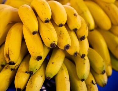 Miniatura: Wszyscy ruszą do Lidla po tanie banany....