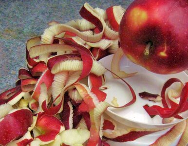 Miniatura: Nigdy nie wyrzucaj obierek z jabłek....