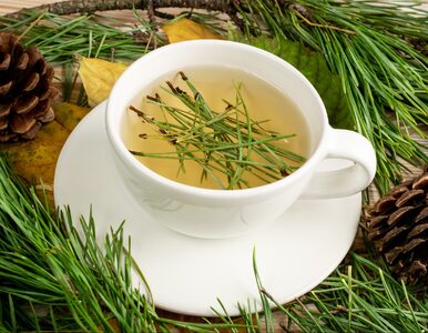 Miniatura: Leśna herbatka na chłodne dni. Potrzebne...