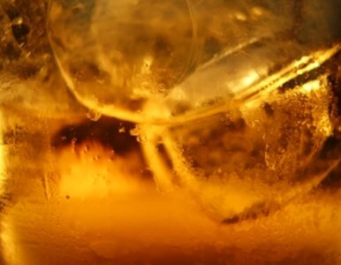 Wódka jest lepsza od whiskey