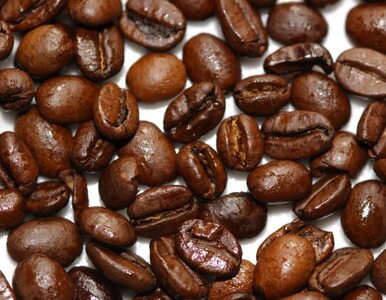 Kenia zaleje rynek kawą