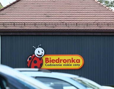 Miniatura: Od dziś w Biedronce kawa Lavazza o 40 zł...
