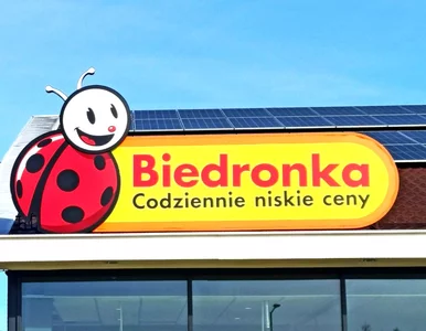 Miniatura: Karkówka za 7,99 zł w Biedronce, ale z...
