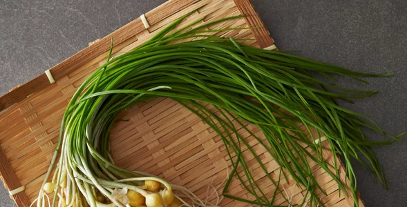 Miniatura: Polacy depczą go na trawnikach, myśląc że...