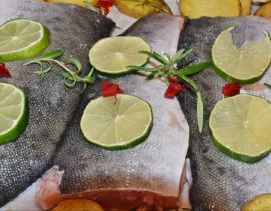 Miniatura: Tego nigdy nie rób z rybą. Ten prosty...