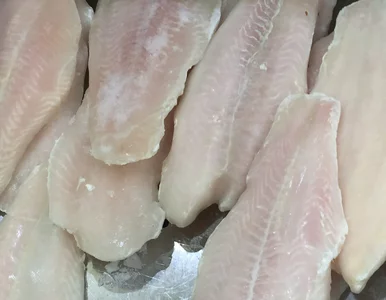 Miniatura: Mrożona ryba też potrafi być smaczna....