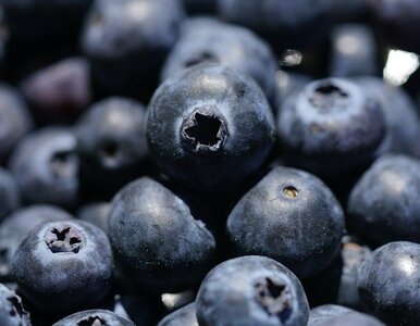 Te owoce to naturalny spalacz tłuszczu. Jedz szklankę dziennie