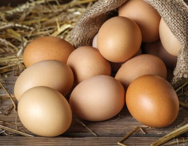Co się stanie, gdy zaczniesz jeść jedno jajko dziennie?