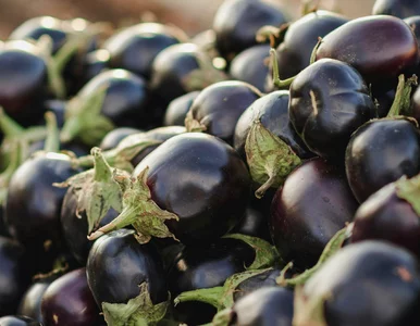 Miniatura: Trzyma cholesterol w ryzach i syci na...