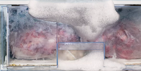 Miniatura: Gdy tylko chwyci mróz, robię to z...