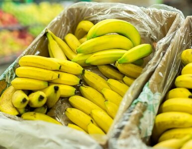 Miniatura: Banany po 2,99 zł za kilogram w Biedronce....