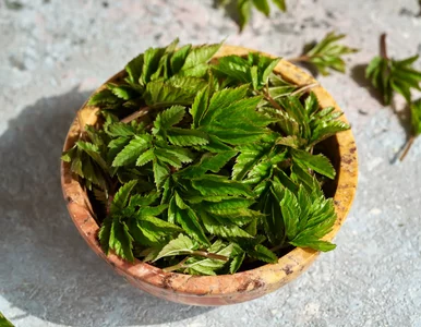 Miniatura: Łagodzi zapalenia i wspiera trawienie. Dla...