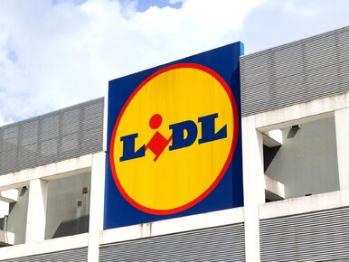 Miniatura: Od dziś w Lidlu za 2,99 zł zamiast 7,99...