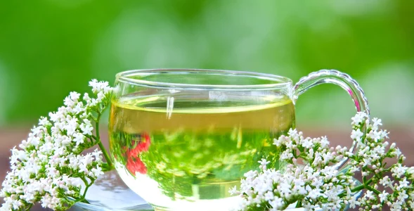 Miniatura: Wsypuję 1 łyżeczkę i zalewam wrzątkiem....