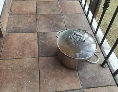 Miniatura: Czy można przechowywać żywość na balkonie?...