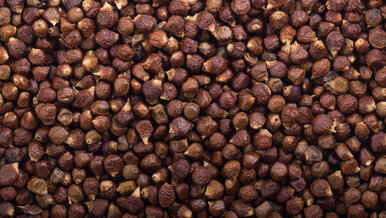 Miniatura: Nie znałem tego pieprzu z Afryki. Szczypta...