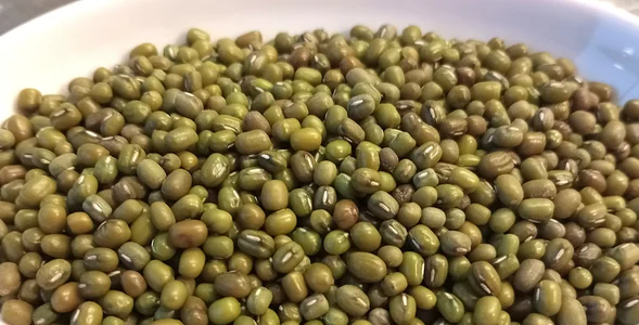 Miniatura: Ta fasola pomaga chudnąć i nie wzdyma....