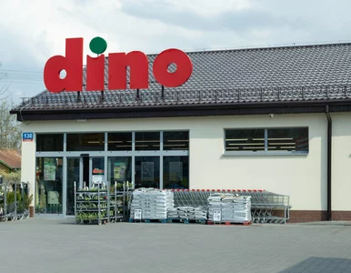 Miniatura: W Dino były po 24,99 zł, od dzisiaj są po...
