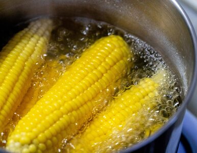 Miniatura: Gotowanie kukurydzy jest proste. Jak długo...