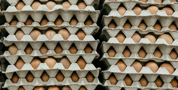 Miniatura: Dobre jajka za ułamek ceny. Tylko teraz,...