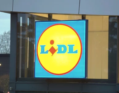 Miniatura: Lidl tylko na jeden dzień obniża cenę tego...