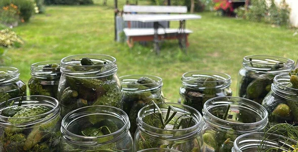 Miniatura: Dziadek mówił, że im mniejsze, tym lepsze....