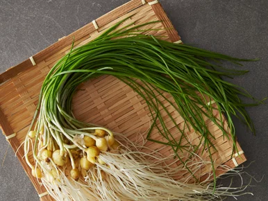 Miniatura: Polacy depczą go na trawnikach, myśląc że...