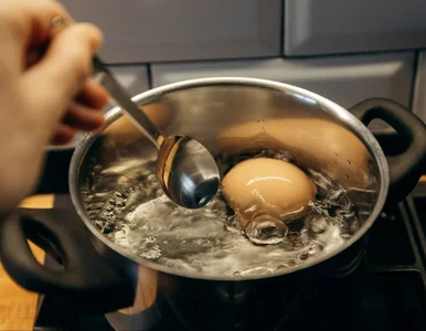 Miniatura: Pękająca skorupka i płynne białko? Rozmiar...