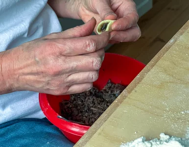 Miniatura: Babcia robiła najlepszy farsz do uszek....