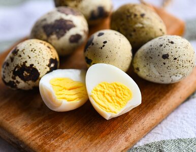 Miniatura: Jak ugotować jaja przepiórcze? Jedna rzecz...