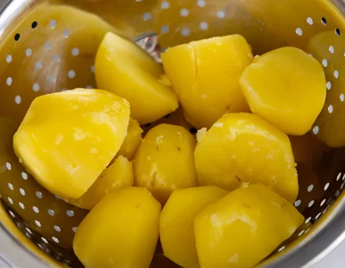 Miniatura: To najlepsze bezmięsne kotleciki....