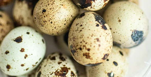 Miniatura: Pożywniejsze od popularnych odpowiedników....