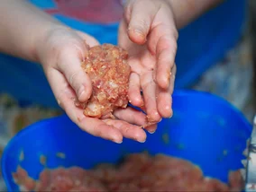 Miniatura: W prosty sposób uzdrowiłam mielone. Są...