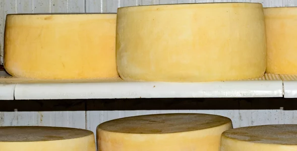 Miniatura: Wybrano najlepszy ser świata. W Polsce...