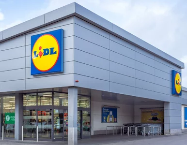 Miniatura: Od 26 marca w Lidlu twaróg sernikowy „1+1...