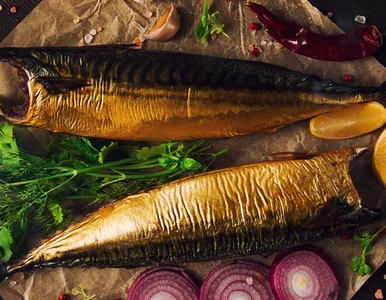 Miniatura: Ta niedoceniana ryba bije śledzie na...