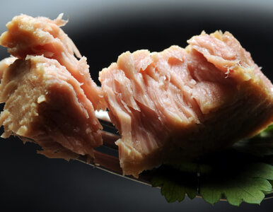 Przerażające badania na temat tuńczyka z puszki. Też go jesz?
