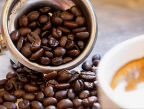 Miniatura: „1+1 gratis” na ulubioną kawę Polaków....