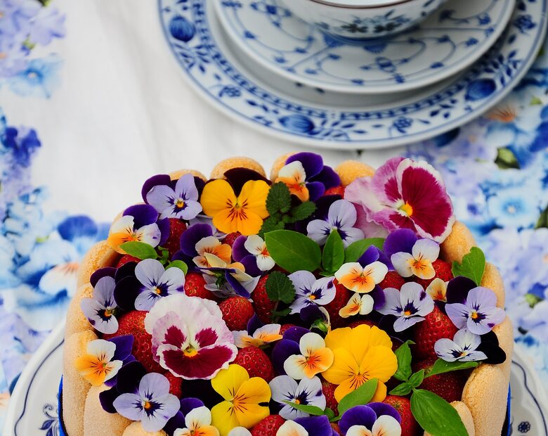 Kwiaty na talerzu: sernik na zimno