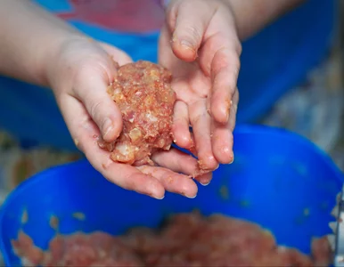 Miniatura: W prosty sposób uzdrowiłam mielone. Są...