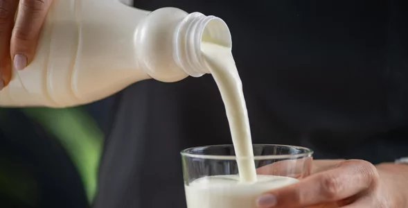 Miniatura: Wzmacnia odporność i jest dobry dla jelit....