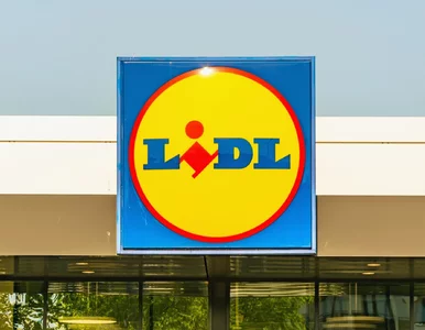 Miniatura: Do soboty w Lidlu 1 kg za 6,90 zł zamiast...