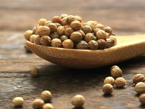 Miniatura: Gdy przesadzę z jedzeniem, parzę to....