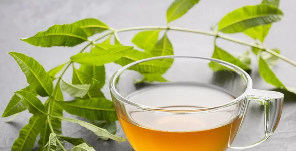 Miniatura: Całą zimę popijam tę herbatkę bez kofeiny....