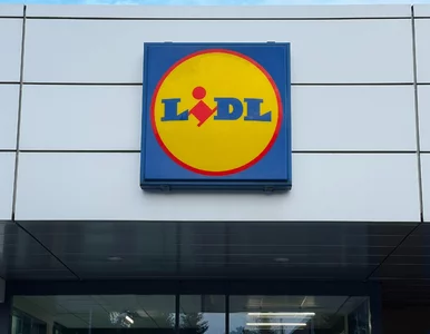 Miniatura: Kupisz w Lidlu za półdarmo. Limit: 3 kg....