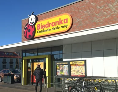 Miniatura: Jeszcze nie ma wiosny, a w Biedronce już...