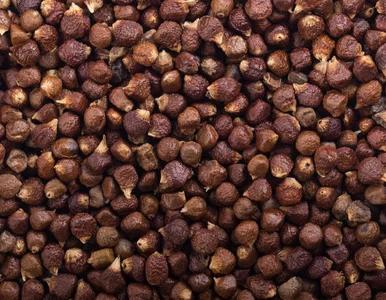 Miniatura: Nie znałem tego pieprzu z Afryki. Szczypta...