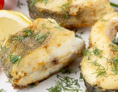 Miniatura: Mój tata wędkarz mawiał, że karpia lepiej...