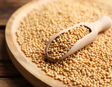 Miniatura: Te maleńkie ziarenka Polacy omijają w...